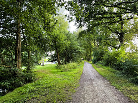 Gehweg des Hahnentanger Sees an einem Frühlingstag.