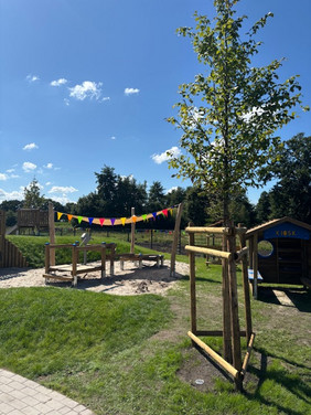Junger Baum mit Stützpfählen und mit Spielgeräten  auf einer Wiese unter blauem Himmel