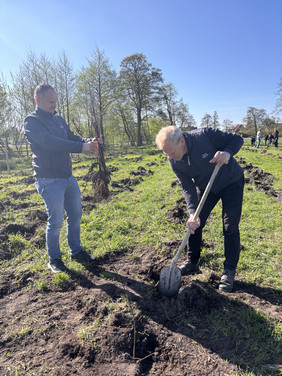 Zwei Männer auf einem Feld, einer hält eine Pflanze mit Wurzeln, der andere gräbt mit einem Spaten ein Loch