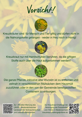 Flyer mit drei farbigen Punkten und Text, vermutlich Informationen zum Jakobskreuzkraut