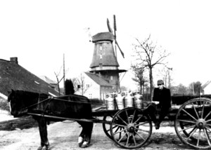 Pferdekutsche mit mehreren Milchkanistern auf der Ladefläche, im Hintergrund eine Windmühle und Häuser, eine Person sitzt auf der Kutsche.