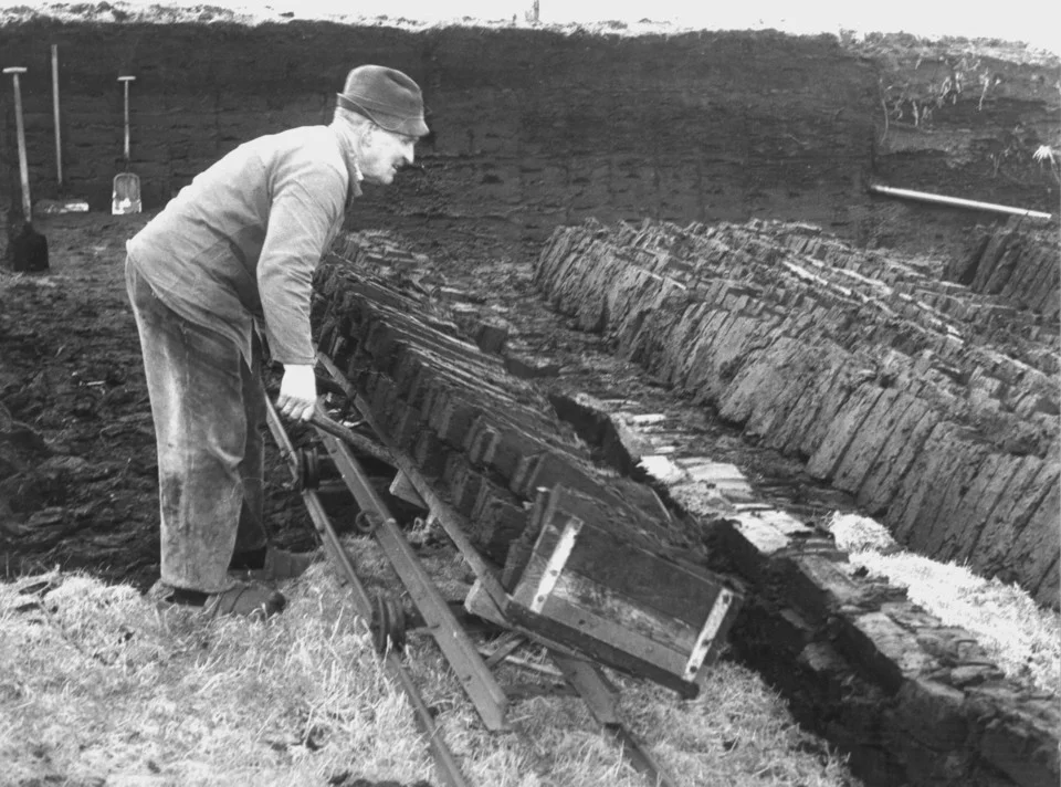Mann hebt mit Werkzeug rechteckige Torfstücke aus einem Moorboden, mehrere Torfstücke liegen gestapelt auf dem Boden.